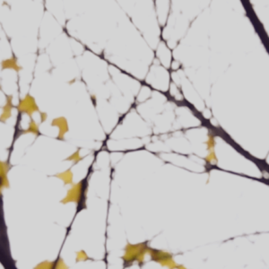 Espaces Virtuels